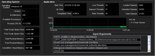 rtvmon_main_jvm.gif